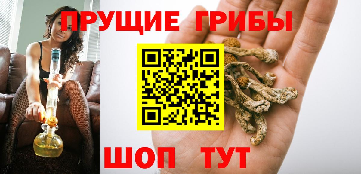 Псилоцибиновые грибы Cubensis  Вход с VPN  Галлюциногенные грибы мицелий  Лыткарино 